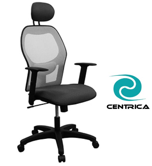 SILLA PLATINO CON CABECERA